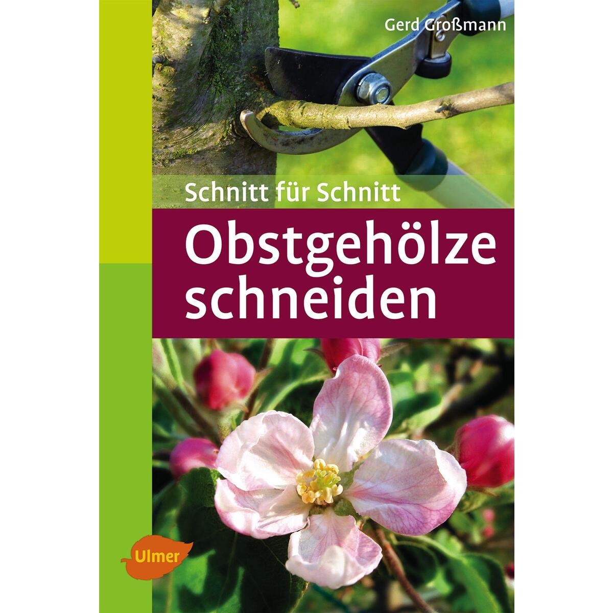 Obstgehölze schneiden von Ulmer Eugen Verlag