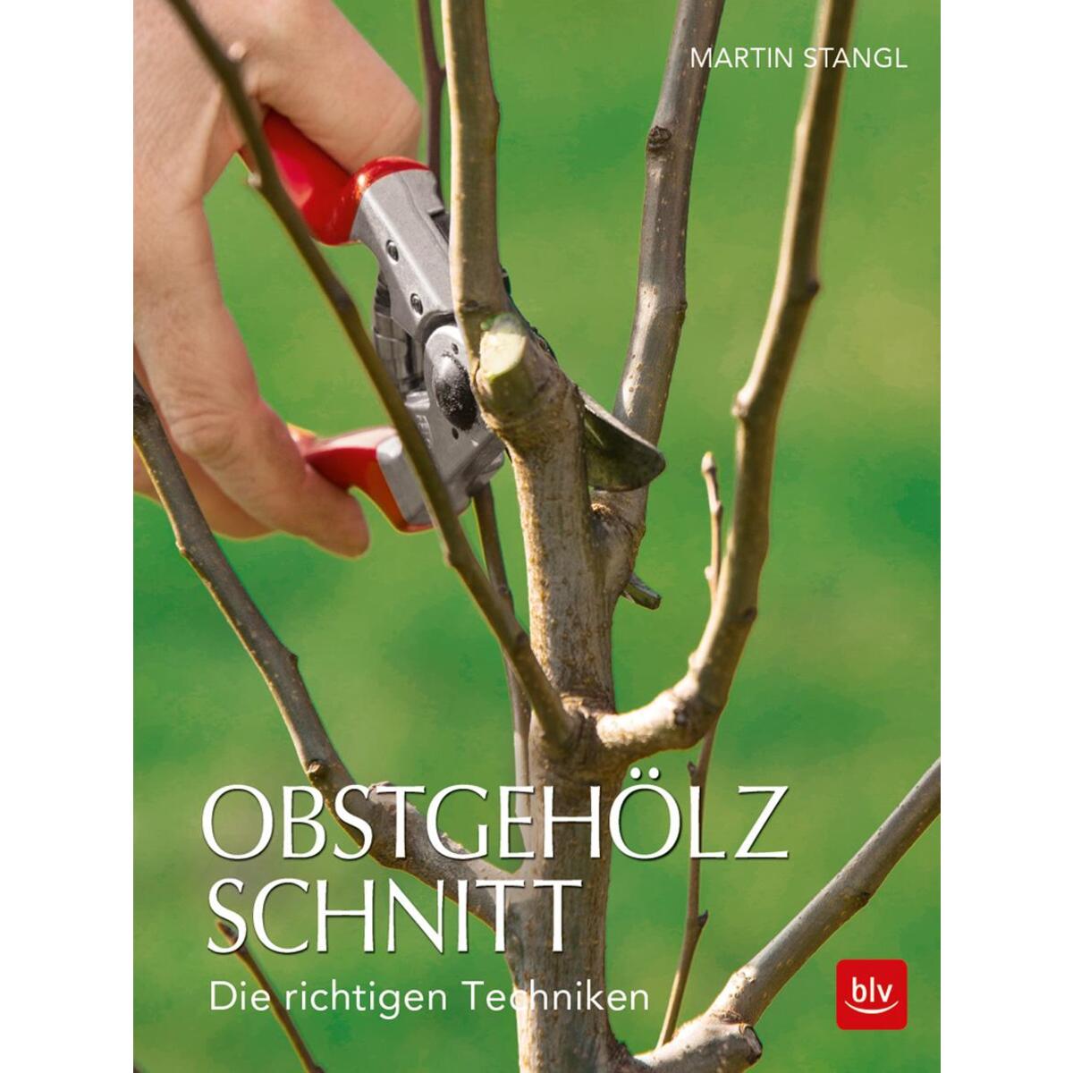 Obstgehölzschnitt von Blv