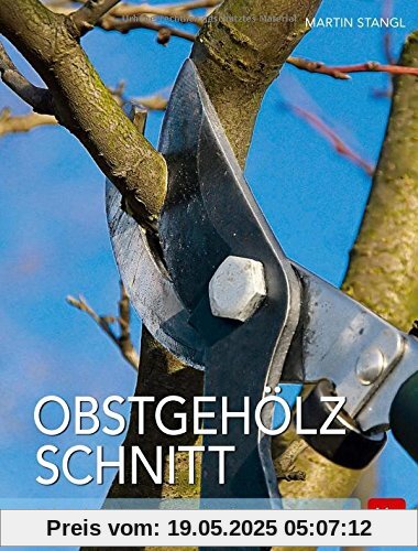 Obstgehölzschnitt: Die richtigen Techniken