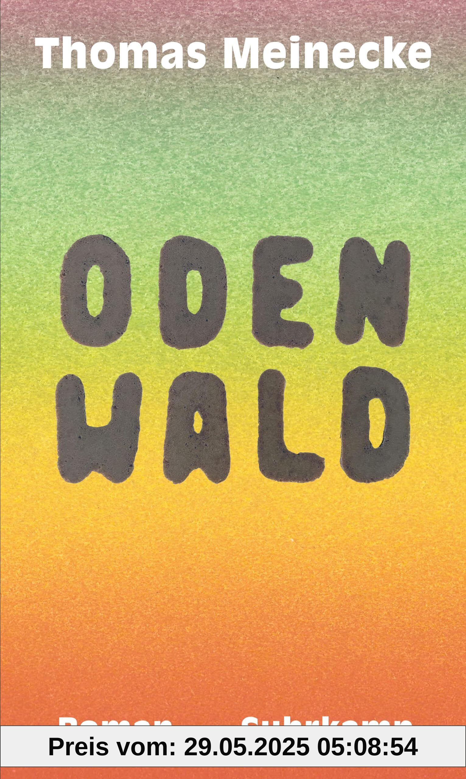 Odenwald: Roman | Philosophie trifft Märchenwald