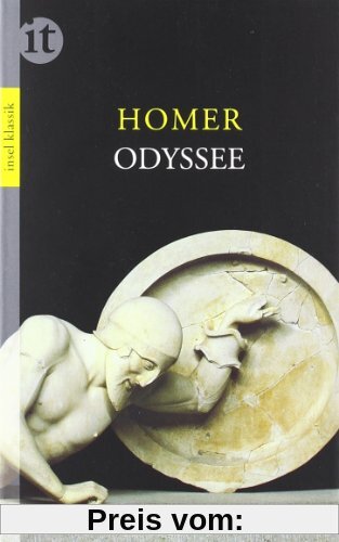 Odyssee (insel taschenbuch)