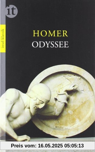 Odyssee (insel taschenbuch)