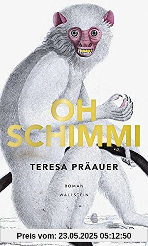 Oh Schimmi: Roman