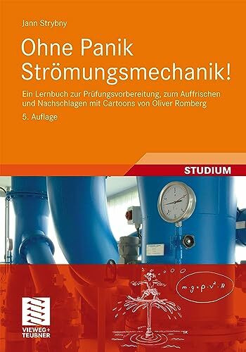 Ohne Panik Strömungsmechanik!: Ein Lernbuch zur Prüfungsvorbereitung, zum Auffrischen und Nach...