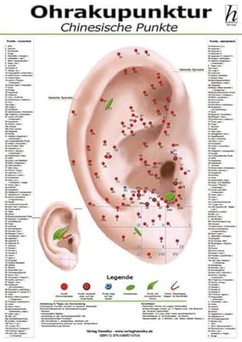 Ohrakupunktur Mini-Poster - chinesische Punkte DIN A4 von Hawelka, Verlag
