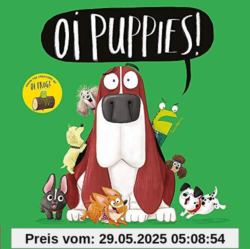 Oi Puppies! (Oi Frog and Friends)