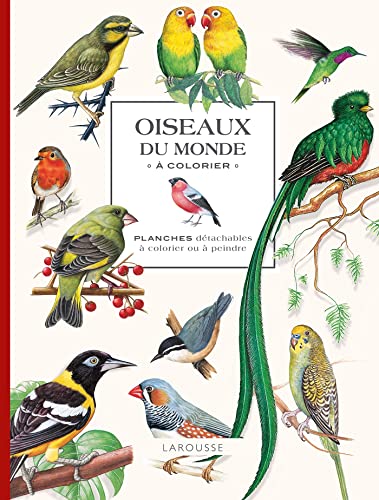 Oiseaux du monde à colorier: A colorier