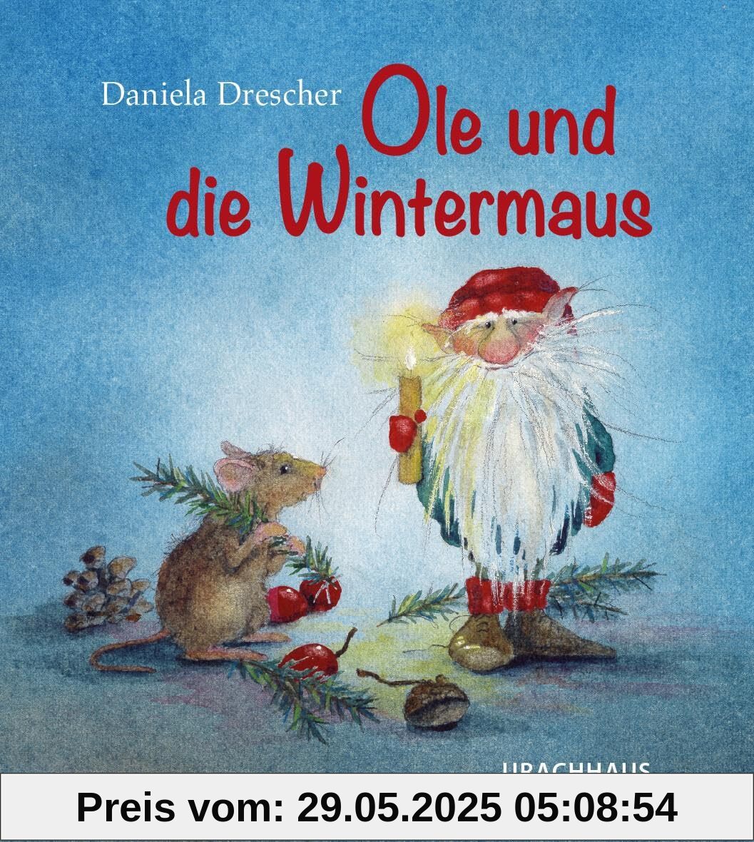 Ole und die Wintermaus