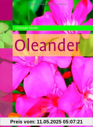 Oleander