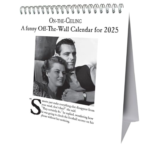 On The Ceiling Desk Easel Calendar 2025 On The Ceiling Desk Easel Calendar 2025 von Danilo Promotions LTD