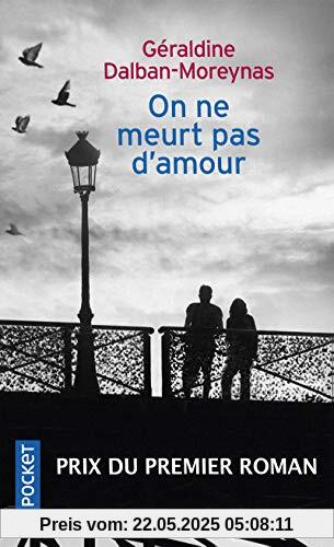 On ne meurt pas d'amour (Roman contemporain)