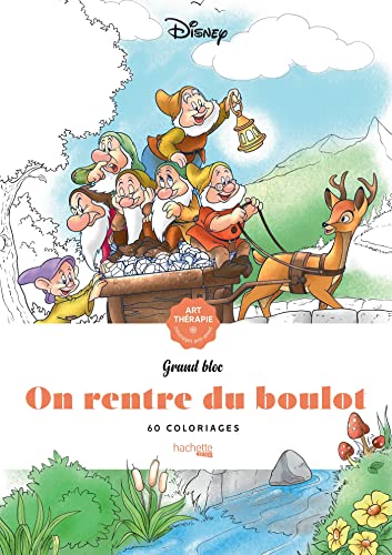 On rentre du boulot: 60 coloriages anti-stress von HACHETTE HEROES