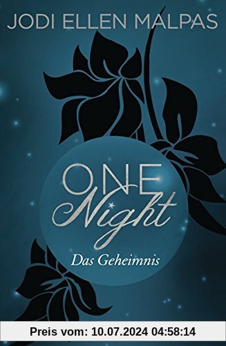 One Night - Das Geheimnis: Die One Night-Saga 2