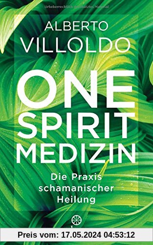 One Spirit Medizin: Die Praxis schamanischer Heilung