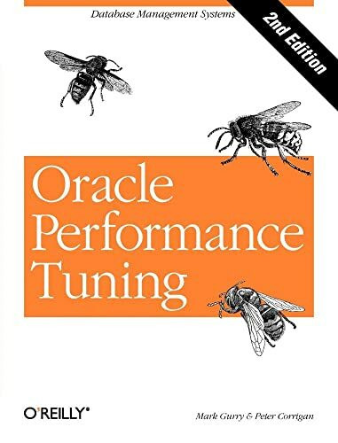 Oracle Performance Tuning (Nutshell Handbook)