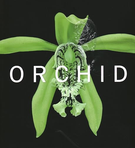 Orchid: Marie Selby Botanical Gardens