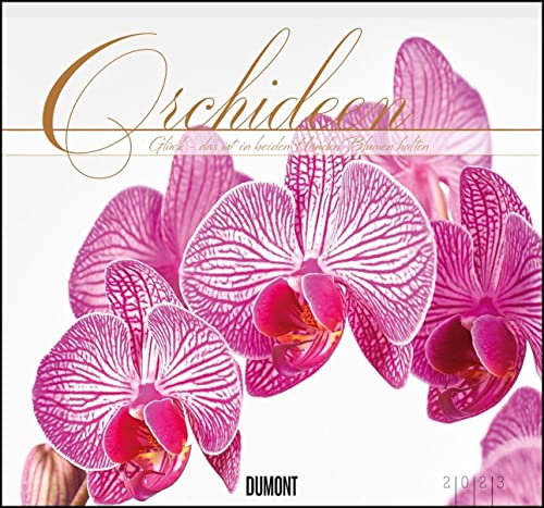 Orchideen 2023 - DUMONT Wandkalender - mit den wichtigsten Feiertagen - Format 38,0 x 35,5 cm von Dumont Kalenderverlag