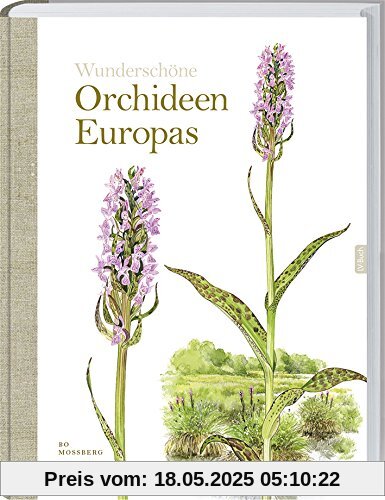 Orchideen Europas Orchideen Europas