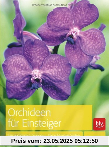 Orchideen für Einsteiger: Die wichtigsten Gruppen · Die schönsten Sorten · Die beste Pflege