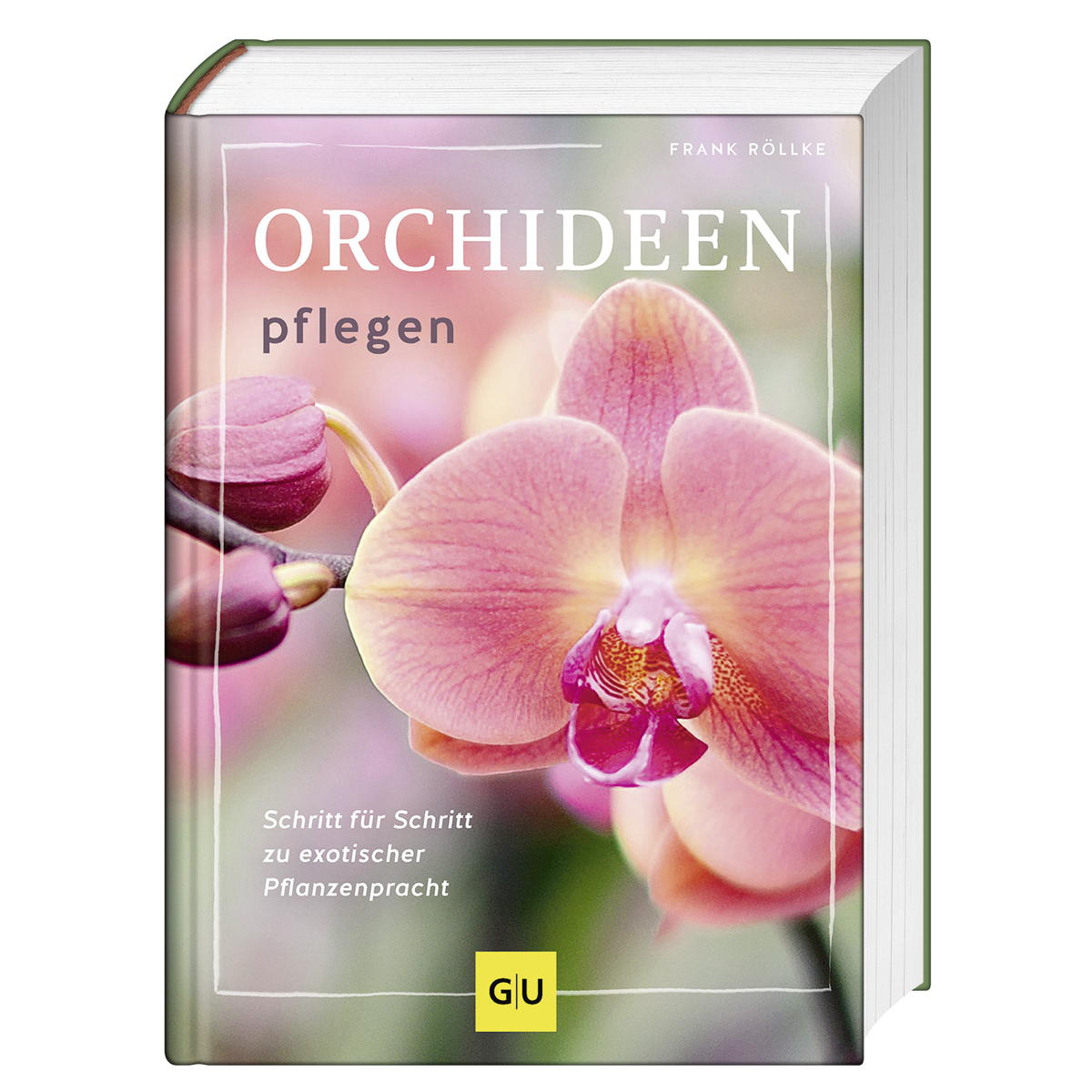 Orchideen pflegen Orchideen pflegen von Graefe und Unzer Verlag