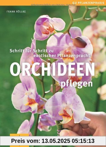 Orchideen pflegen: Schritt für Schritt zu exotischer Pflanzenpracht (GU PraxisRatgeber Garten)