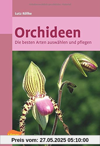 Orchideen: Die besten Arten auswählen und pflegen