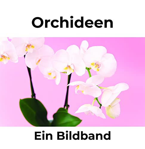 Orchideen: Ein Bildband