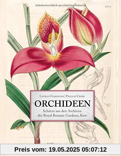 Orchideen: Schätze aus den Archiven der Royal Botanic Gardens, Kew