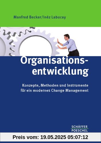 Organisationsentwicklung: Konzepte, Methoden und Instrumente für ein modernes Change Management