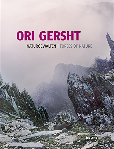 Ori Gersht: Naturgewalten: Fotografien und Filme