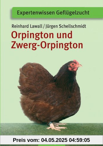 Orpington und Zwerg-Orpington