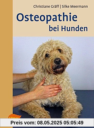 Osteopathie bei Hunden