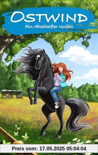 Ostwind – Ein rätselhafter Unfall: Neue Abenteuer von Ostwind und Mika für Kinder ab 8 Jahren als Taschenbuch (Die OSTWIND Abenteuer-Reihe Taschenbuch)