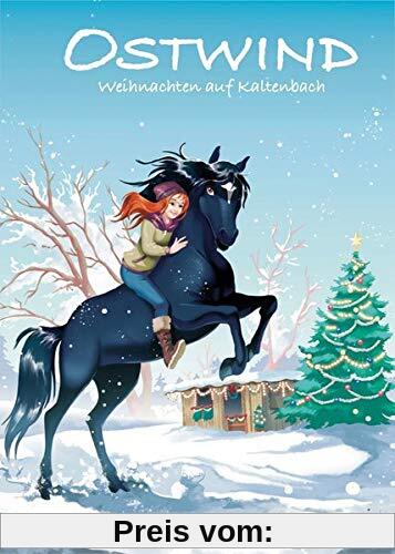 Ostwind - Weihnachten auf Kaltenbach (Ostwind für Erstleser 4)