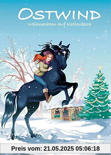 Ostwind - Weihnachten auf Kaltenbach (Ostwind für Erstleser 4)