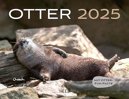 Otter Kalender 2025: Mit spannenden Otter-Fun-Facts. Eintragkalender 2025 von Heel