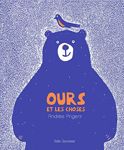 Ours et les choses von DIDIER JEUNESSE