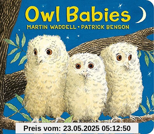 Owl Babies