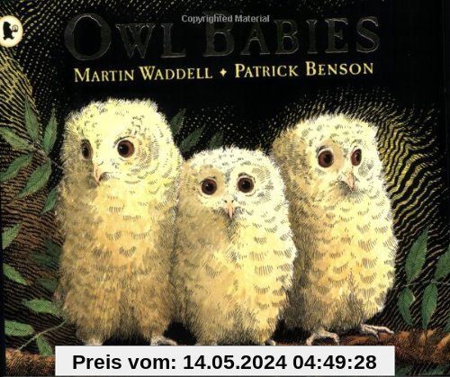 Owl Babies. (Bilderbücher)