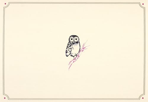 Owl von Peter Pauper Press