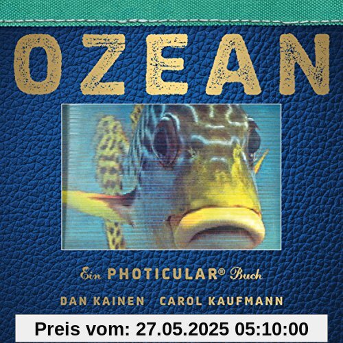 Ozean