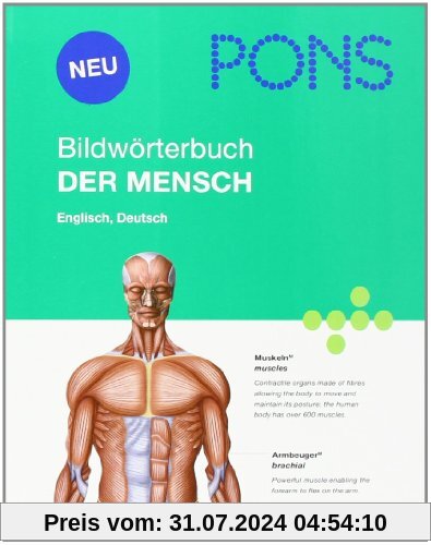 PONS Bildwörterbuch Der Mensch: Englisch, Deutsch