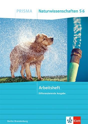 PRISMA Naturwissenschaften 5/6. Differenzierende Ausgabe Berlin/Brandenburg: Arbeitsheft Klasse 5/6 von Klett