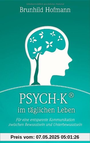 PSYCH-K im täglichen Leben: Für eine entspannte Kommunikation zwischen Bewusstsein und Unterbewusstsein