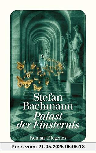 Palast der Finsternis (detebe)