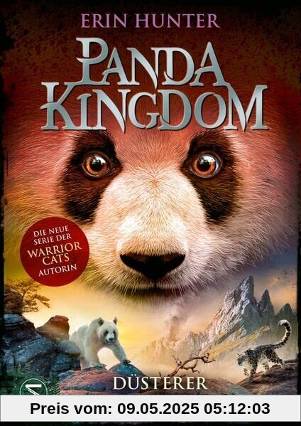Panda Kingdom - Düsterer Drachenberg
