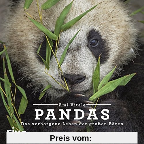 Pandas: Das verborgene Leben der großen Bären