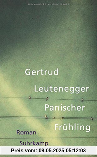 Panischer Frühling: Roman (suhrkamp taschenbuch)