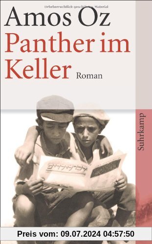 Panther im Keller: Roman (suhrkamp taschenbuch)