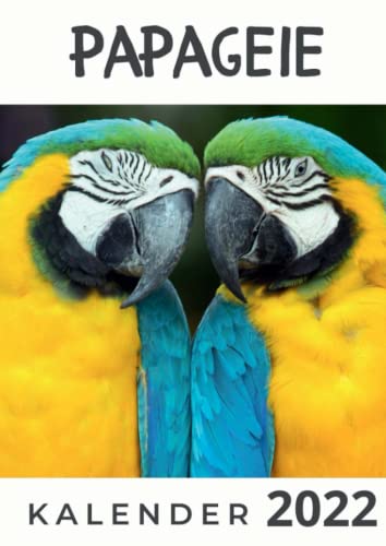 Papageien: Kalender 2022
